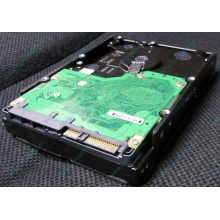 Жесткий диск 600Gb 15k Dell 9FN066-008 6G SAS ( Seagate Cheetach ST3600057SS 15K.7) - Якутск