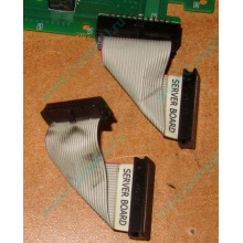 Шлейф 24pin 6017B0045701 для Intel C74974-401 T0043401-B01 (Якутск)