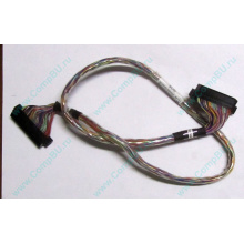 6017B0045301 в Якутске, 68pin SCSI кабель 26.5" / 57cm для корзины HDD Intel SR2400 (Якутск)